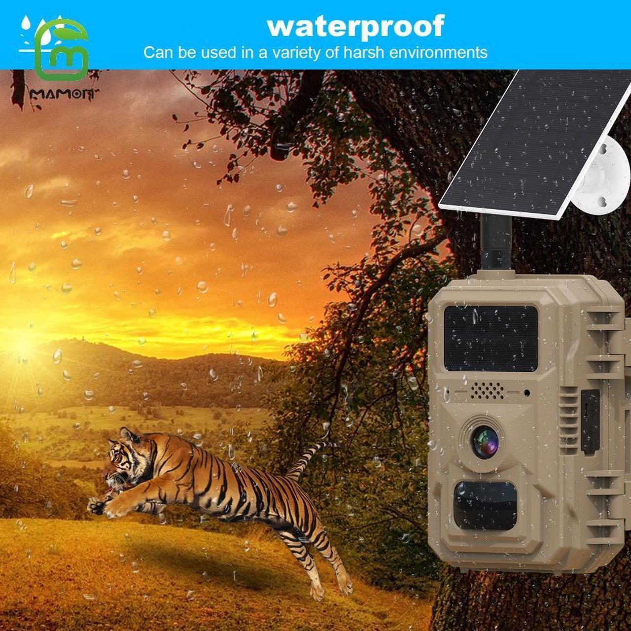 Solarna lovacka kamera Trail 4G kamera