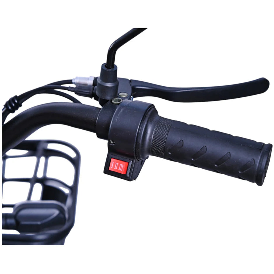 Verdeto E-bike Elektični bicikl