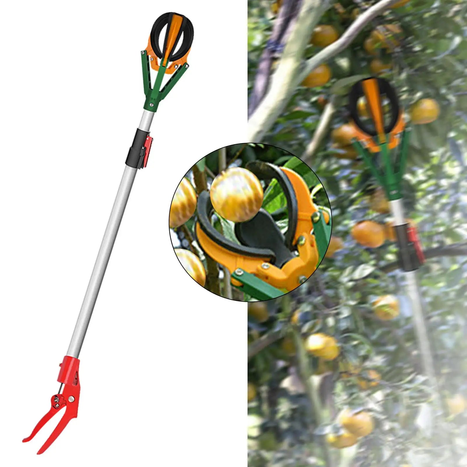 Teleskopski berac voca 3M